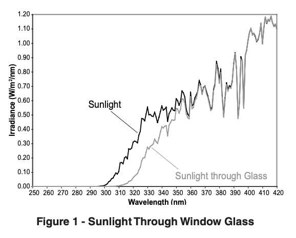 Sunlight Through Window